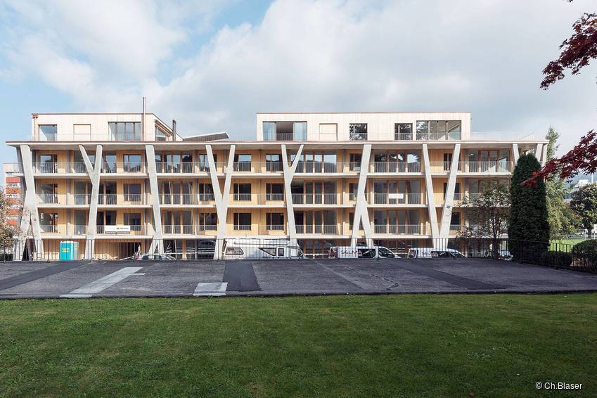 A residence made entirely of Swiss wood